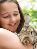 Image of: 8 Pet Animals Believed to Bring Good Luck to Your Home