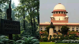 Image of: Delhi Forest Dept Moves Supreme Court Over Fake Permission in Ridge Tree Felling Case