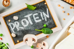 Image of: Why Protein Matters More Than You Think: Insights from a Top US Neurosurgeon