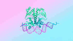 Image of: Google DeepMind Executive Reveals AI-Designed Drugs Are Close to Human Trials
