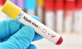 Image of: Kerala on High Alert After Second Suspected Nipah Death in Palakkad