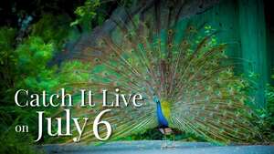 Image of: HT City Delhi Junction Live Event Set for July 6, 2025