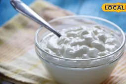 Image of: Curd With Salt or Sugar: Which Is Healthier? Experts Weigh In