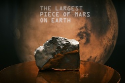 Image of: Record Auction of World's Largest Mars Meteorite Ignites Ownership Debate