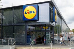 Image of: Lidl Launches Budget-Friendly Camping Gadgets for Hot Weather