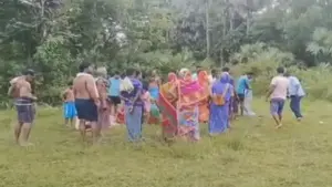 Image of: Farmer Trampled to Death by Elephant in Odisha’s Dhenkanal, Fourth Death in Three Days