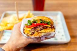 Image of: Mastering the Art of Eating a Burger: Essential Tips