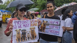 Image of: Supreme Court of India Orders Release of Stray Dogs Back to New Delhi Streets