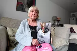 Image of: A Heartfelt Plea for Daisy: Dog Owner's Regret