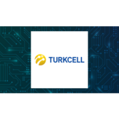 Image of: Comparing Farmhouse (OTCMKTS:FMHS) and Turkcell Iletisim Hizmetleri AS (NYSE:TKC)