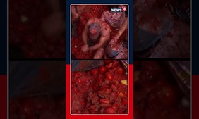 Image of: La Tomatina: A Celebration of Color and Chaos in Spain