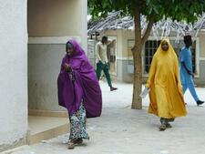 Image of: Impact of U.S. Aid Cuts on Nigerian Students and Schools