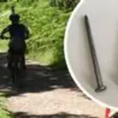Image of: Shock as Long Nails Found Hammered into Logs at Popular Beauty Spot