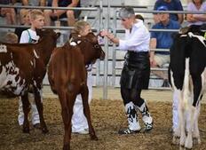 Image of: Friday Fun at the Fair: Highlights and Festivities