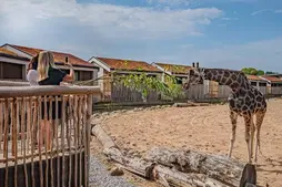 Image of: Chester Zoo Reveals First Look at Luxury Safari Lodges