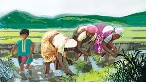 Image of: Graphic Novel Sheds Light on Threat to Heirloom Rice Varieties