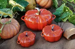 Image of: Embrace Autumn with Elegant Pumpkin Cookware Starting at £25