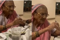 Image of: A Grandmother's Unique Dining Experience: A Lesson in Etiquette