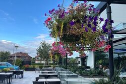 Image of: Discovering a Hidden Gem: A £16 Two-Course Meal Experience