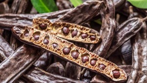 Image of: Exploring the Culinary Versatility of Carob Pods
