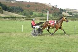 Image of: New Radnor Harness Racing Delivers Thrills and Excitement