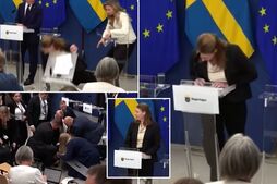 Image of: Sweden's Health Minister Faints During Press Conference: A Shocking Moment