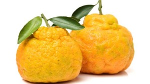 Image of: Discover the Versatile Ugli Fruit in African Cuisine