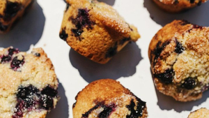 Image of: New Elephantine Bakery Opens in Fort Point, Boston