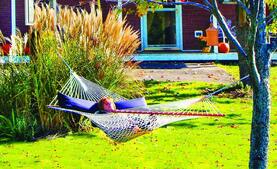 Image of: Embrace the Lazy Gardener: Tips for Effortless Gardening Success
