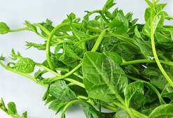 Image of: Exploring Odisha's Culinary Heritage: The Marvel of Marble Spinach