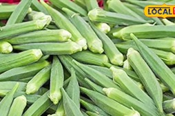 Image of: 5 Health Conditions That Should Avoid Ladyfinger