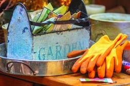 Image of: Ask A Master Gardener: Seed Saving for a Sustainable Future