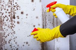 Image of: Avoid These 5 Common Mistakes to Prevent Mould Growth