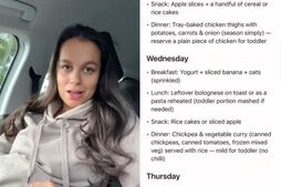 Image of: Busy Mum's Meal Planning Hack Simplifies Weekly Shopping