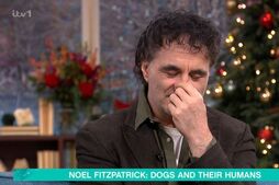Image of: Heartbroken Supervet Noel Fitzpatrick Reflects on Loss and Music