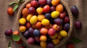 Image of: Delightful Dishes Featuring African Safou