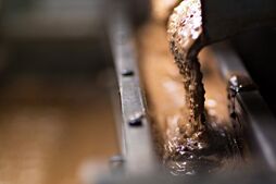 Image of: Nestlé Responds to Calls for Return of Beloved 90s Chocolate Bar