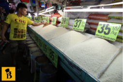 Image of: Farmers Demand 35% Rice Import Tariff Reinstatement Before Ban Lifting