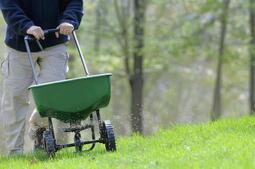 Image of: Master Gardener Tips for Optimal Turf Care