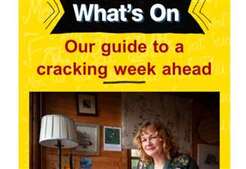 Image of: Discover Our Weekly Arts & Entertainment Newsletter