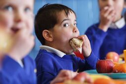 Image of: Frustration Over Snack Restrictions Leads to School Change