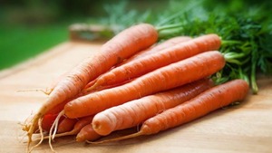 Image of: Nutritional Showdown: Pumpkin vs. Carrot