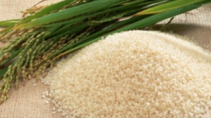 Image of: Farmers Rally Against Rice Price Manipulation