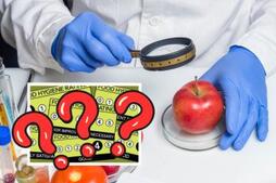 Image of: Latest Food Hygiene Ratings in Epping, Redbridge, and Harlow
