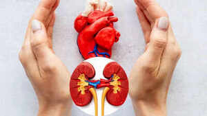 Image of: The Vital Connection Between Heart and Kidney Health