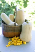 Image of: Exploring the Fall Favorite: Butternut Squash