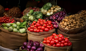 Image of: Capsicum and Colored Bell Peppers See Price Drop in Chennai