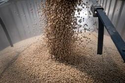Image of: Beyond Bailouts: Navigating the Challenges of Modern Farming