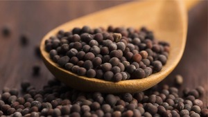 Image of: Unlocking the Flavor: The Magic of Mustard Seeds in Cooking