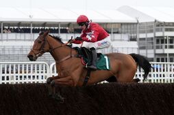 Image of: Harry Cobden's Top Picks for the Upcoming Jumps Season